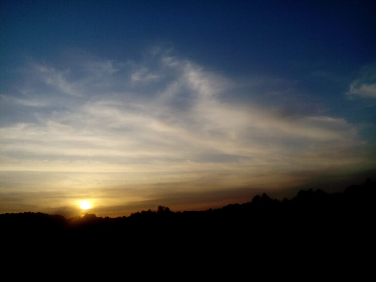 شاعر مقیم داستانی از کاترین دان ترجمه عبدالمطلب برات نیا