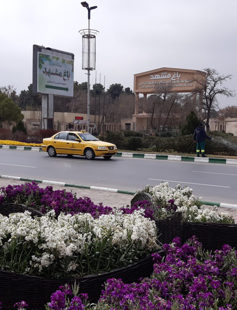 شب بوهای عاشق