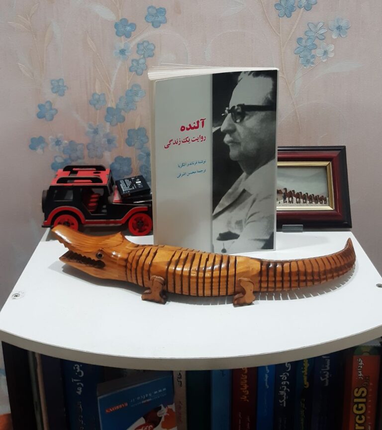 آلنده روایت یک زندگی